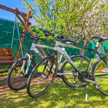 Vikendica Drinski Lad 펜션